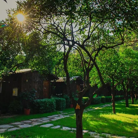 Korsan Gasthof Olympos