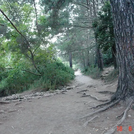 Korsan Gasthof Olympos
